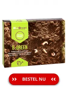 Biogroei-Bgreen