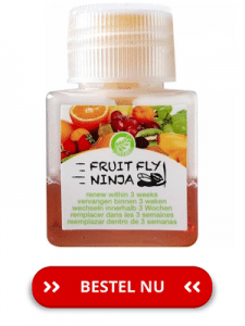 Fruit-fly-ninja