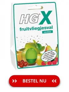 HG-fruitvliegjes