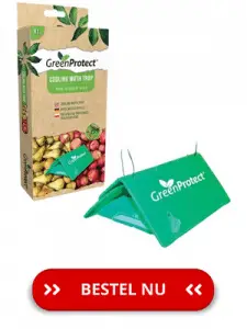 green-protect-fruitmotval
